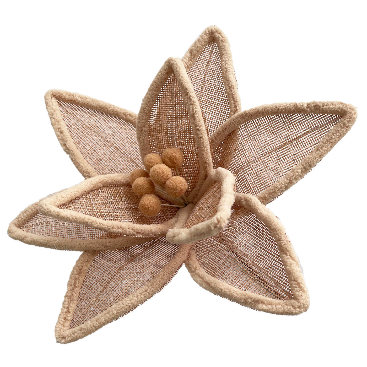 Light Brown Poinsettia