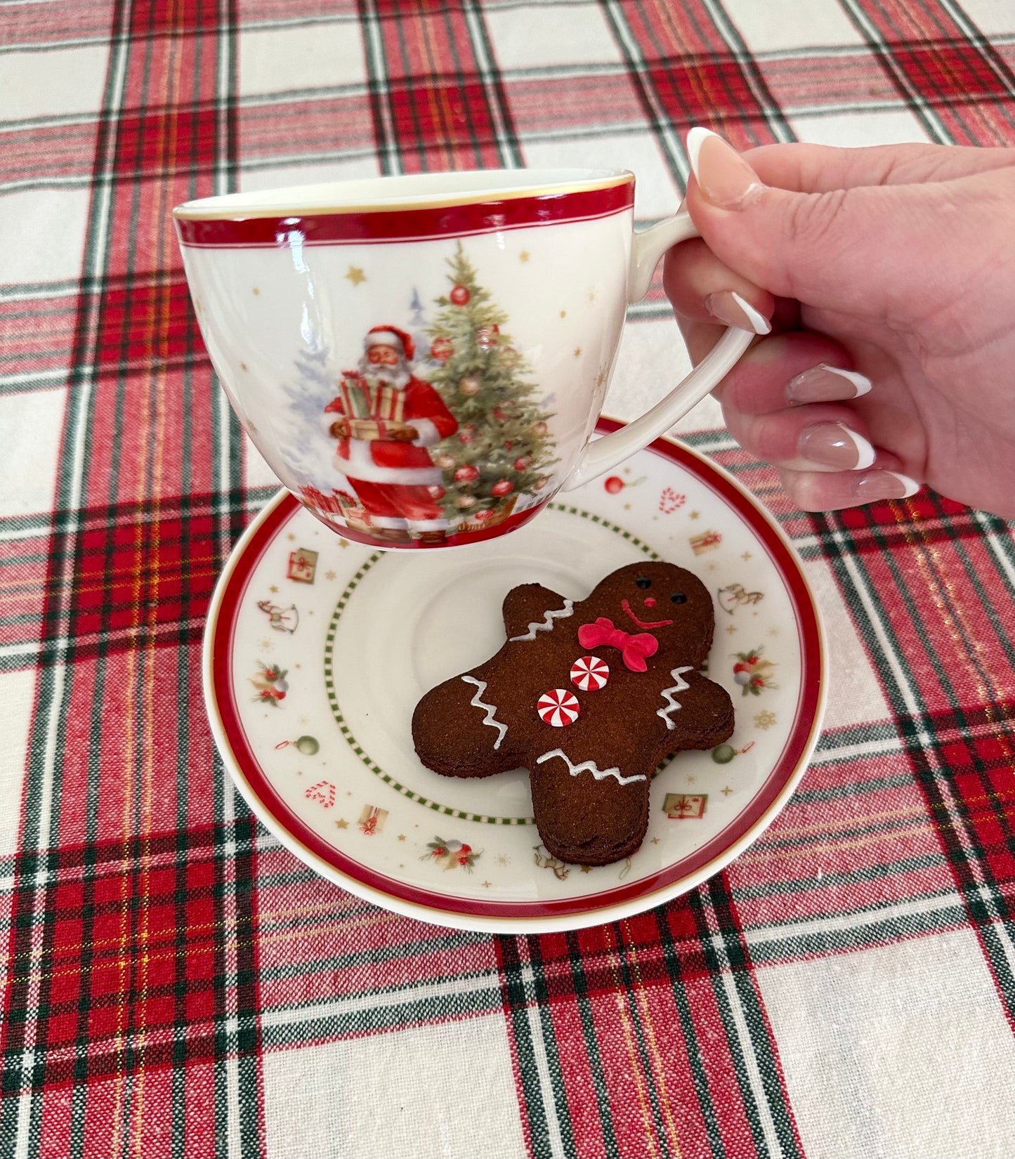 Gingerbread Boy Fake Bake Biscuit