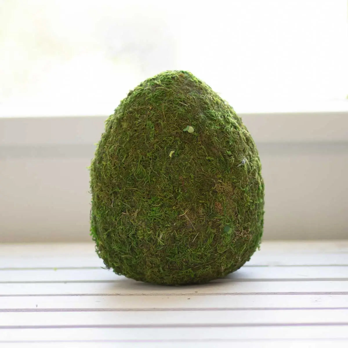 Moss Egg Decor Green 20cm