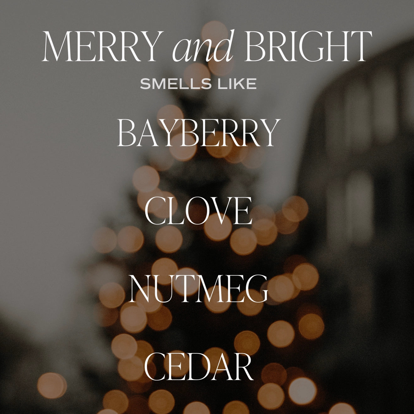 Merry and Bright Christmas Soy Candle