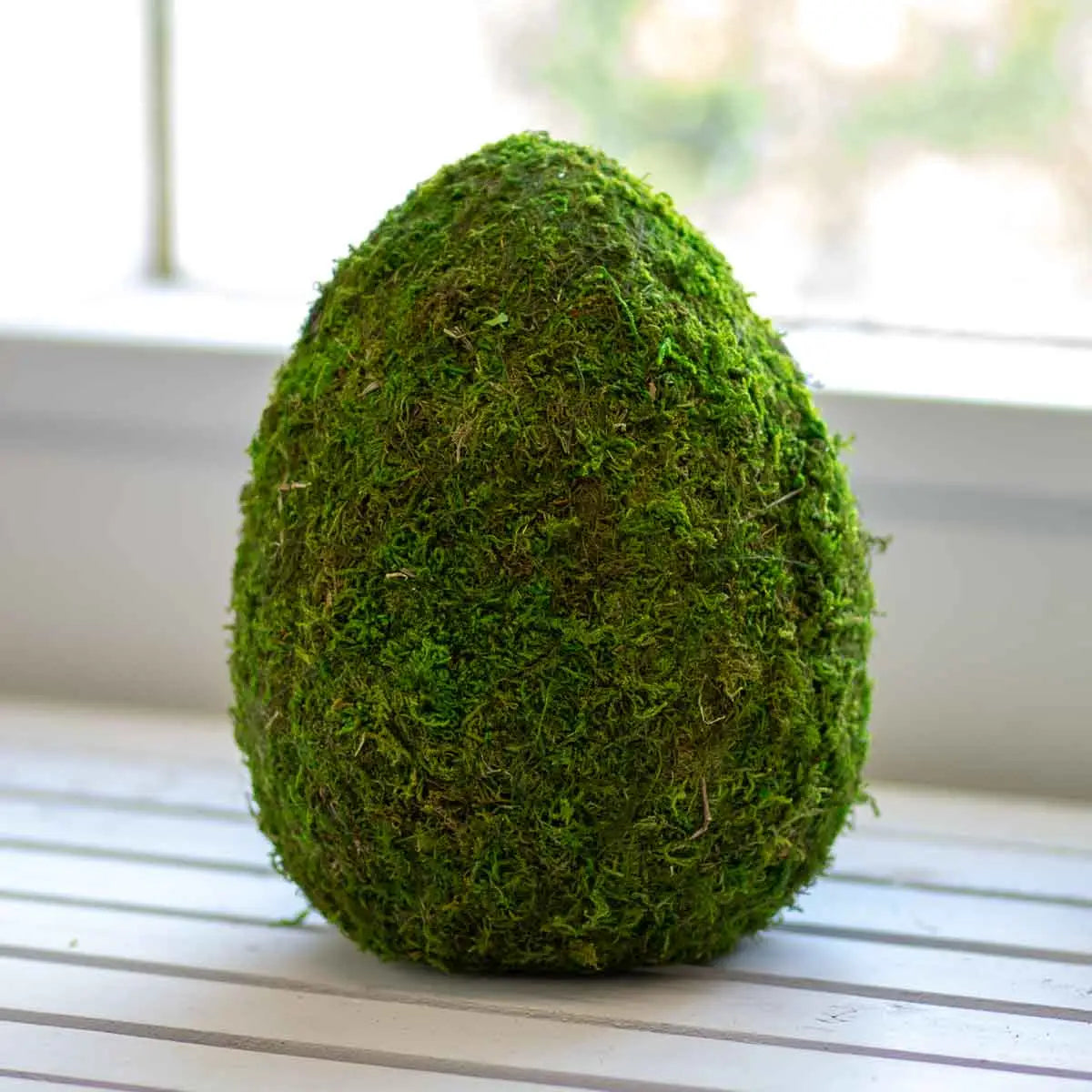 Moss Egg Decor Green 25cm