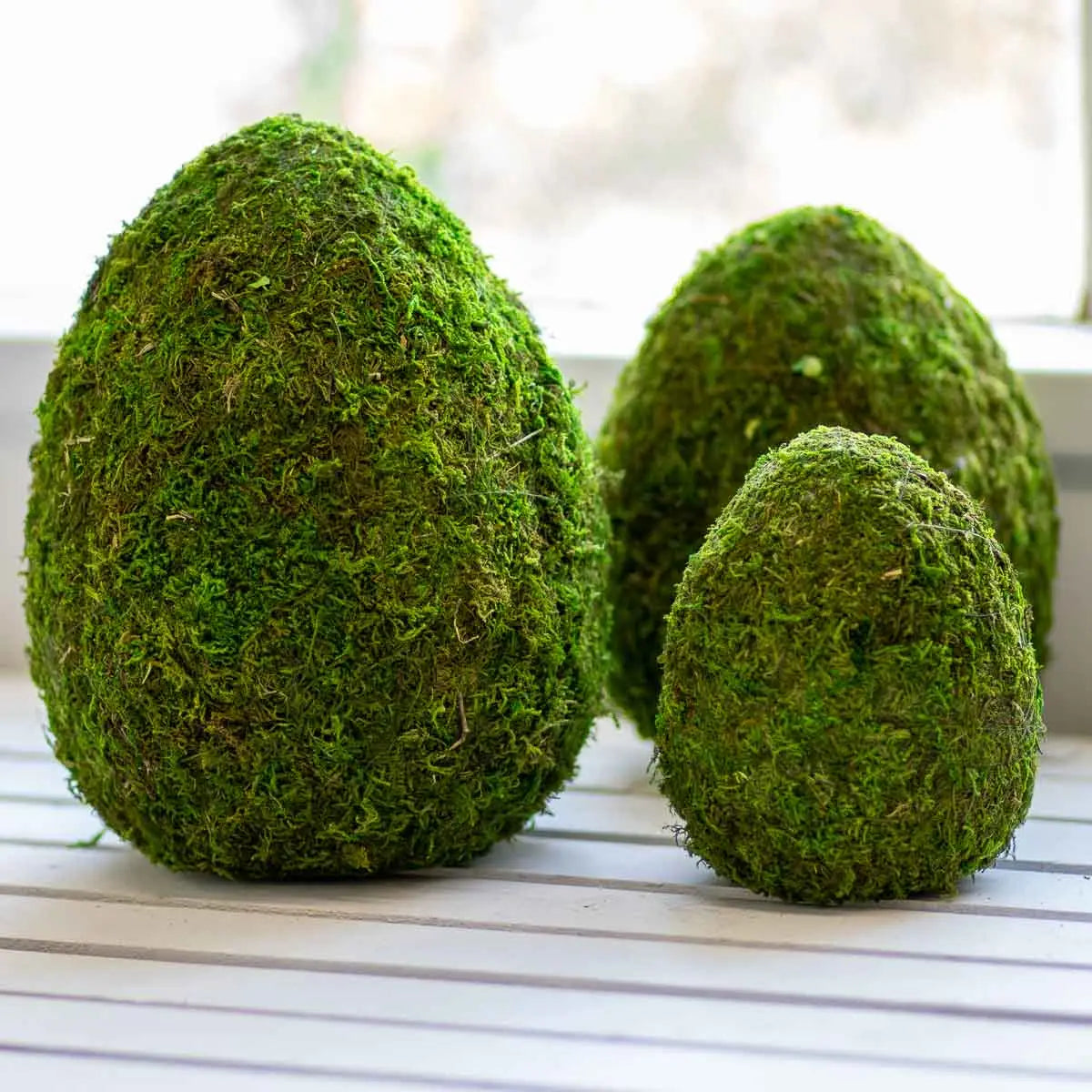 Moss Egg Decor Green 20cm