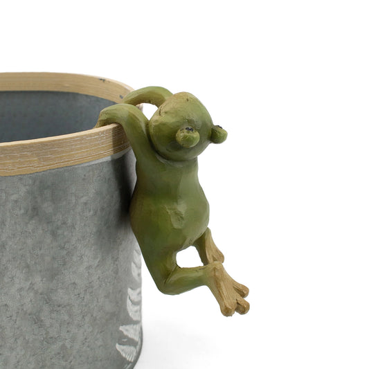 Little Green Resin Frog Planter Hanger